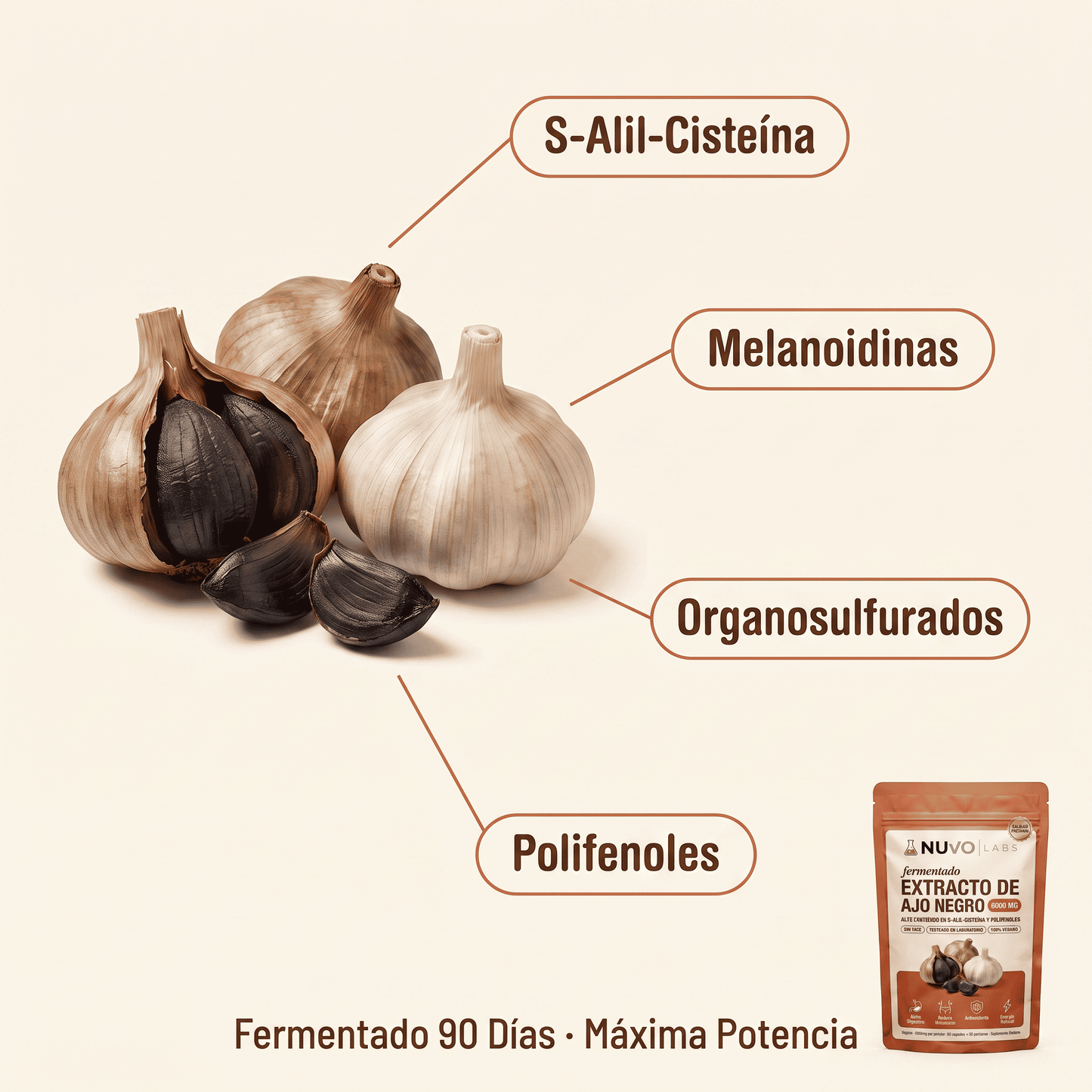 Extracto de ajo negro fermentado