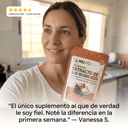 Extracto de ajo negro fermentado