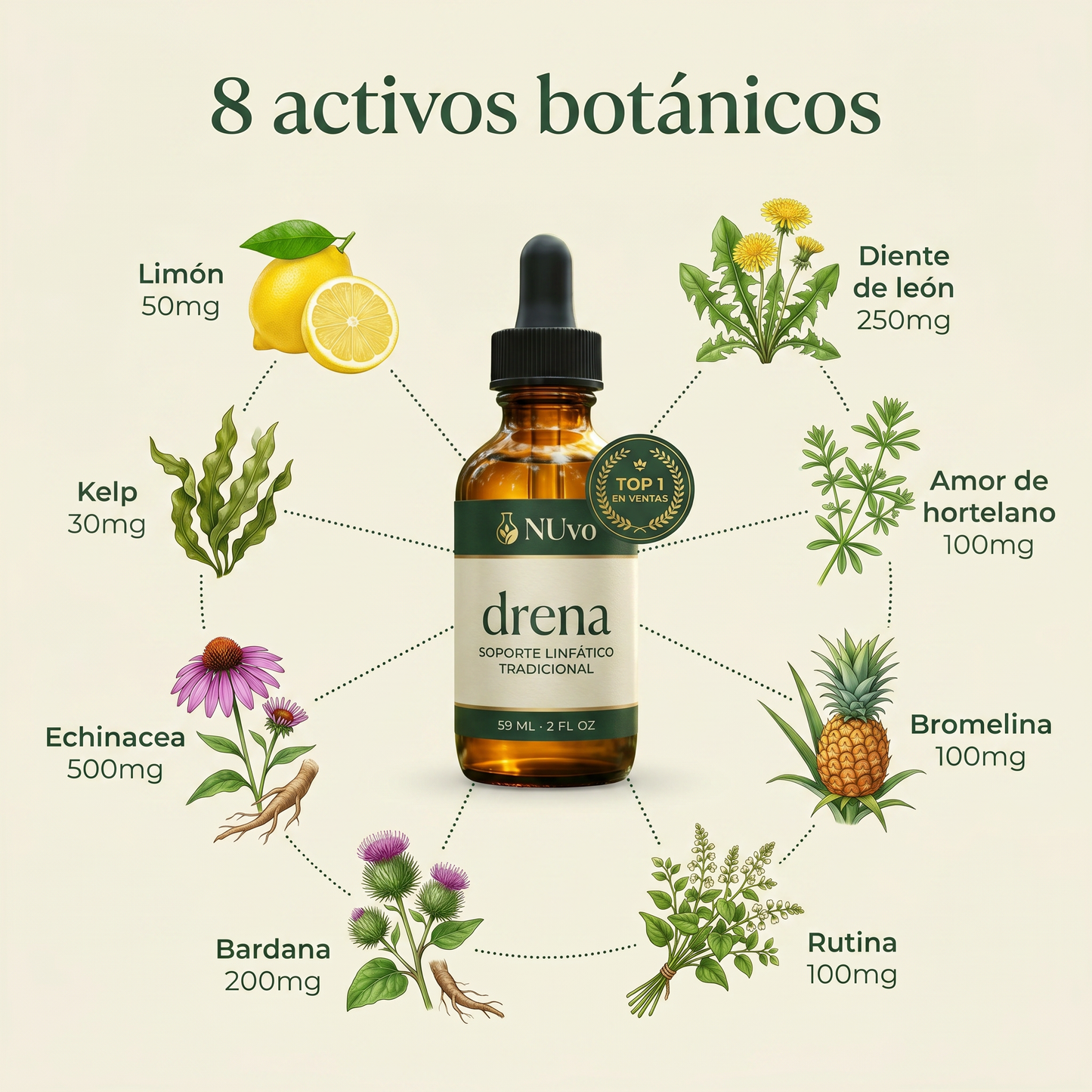 NUvo Drena — Soporte Linfático Natural | Extracto Herbal de 8 Activos